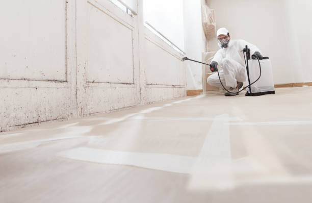 24/7 Emergency Attic Mold Removal experts in Dover, NJ